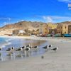 (دمن  قلنسيه )