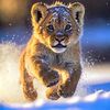 2507leogirl🦁