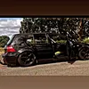 ramoscelsozx