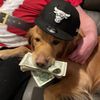 mutts555