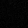 noneed20240