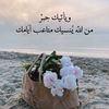 .znasreen