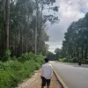 kyawkyaw8719