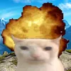 zole_noob