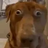 funkyystuff