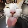 andikpluhh