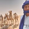 abdelfatth11