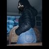 mel_po01