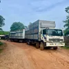 vanthanh74lb
