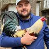 DavenportGamefowl