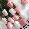 ˚˖𓍢ִ໋🎀🌷🫧💗༘⋆