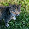 meowinggg__