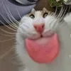 glamurikk
