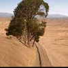 mohammedsajad112