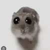 dexynek