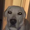 j0nnnyy