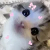 mvniqne