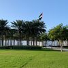 noor.telfah