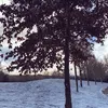 HaseenScenery
