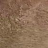 rcp_1a