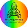 mr_rogueninja