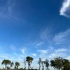 serenityscapes