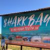mrsmcneairsharkbay.au
