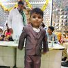 shahzadahmed8528