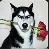 userkn6z4sycxx