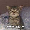 iniandin07