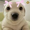thnha_03