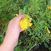 zozaalside