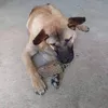 bindossantos