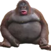 maks_the_monke