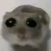 erickbonjardim