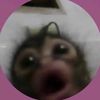s0phiamarchetti