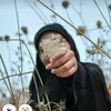 za_ab27