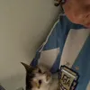 lisazi001
