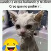 valemar0123