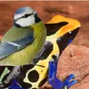 piouffplio