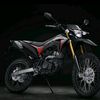 janawiaja2901