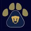 pumas_hcasas