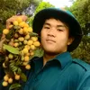 daknong1990