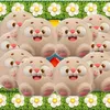 mrina_1237
