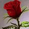 user1a8ygyfq60