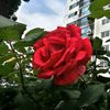 j01082146788gmail.com
