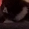 sloomm67