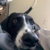 colton_faulkner23