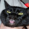 mehhggie