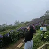 www.com.rona